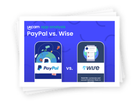 AA_LandingPage_Main_PayPalWise-1